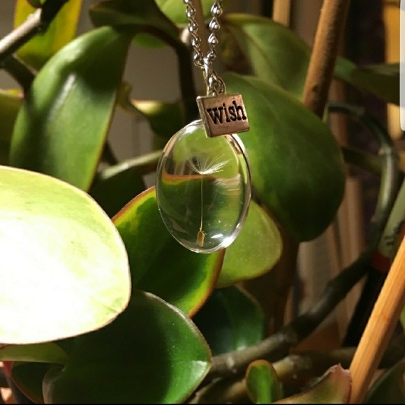 Wish Necklace - Picture 5 of 5